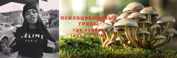 крисы Абаза
