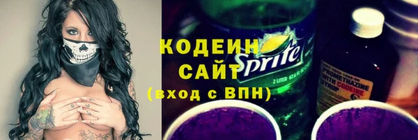 крисы Абаза