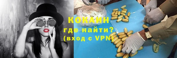 крисы Абаза