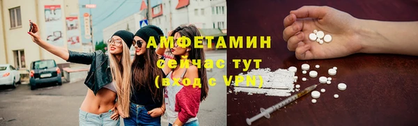 крисы Абаза