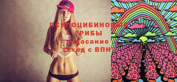 крисы Абаза