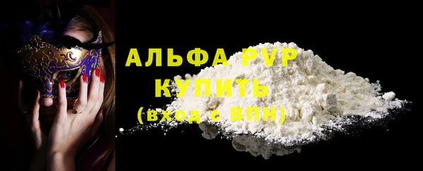 крисы Абаза