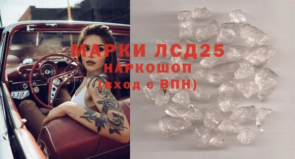 крисы Абаза