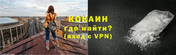 крисы Абаза